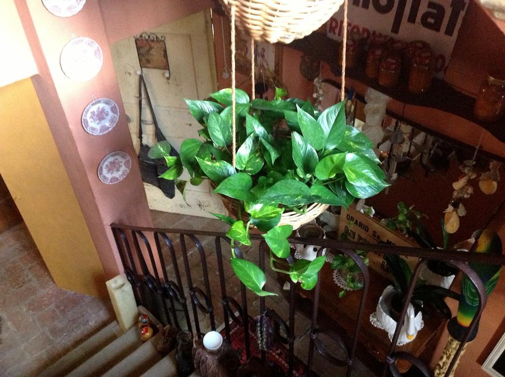 Al Porretto Bed & Breakfast Madonna della Provvidenza ภายนอก รูปภาพ